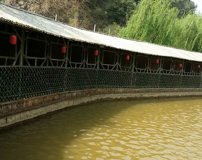 竹子在休闲度假旅游中发挥着重要作用